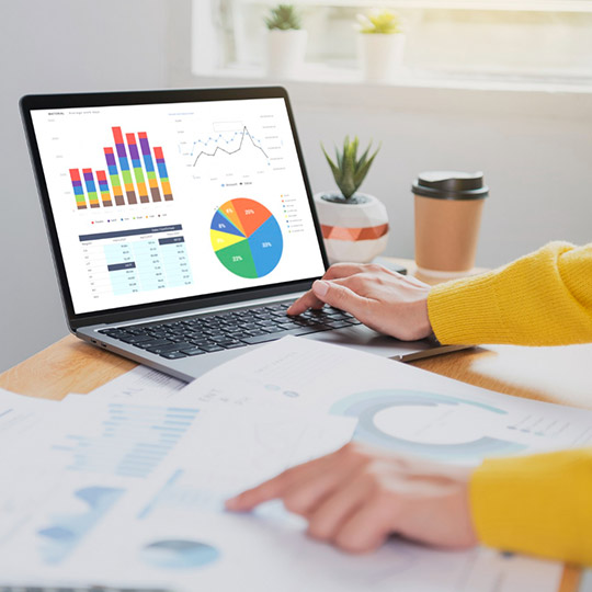 SEO Management