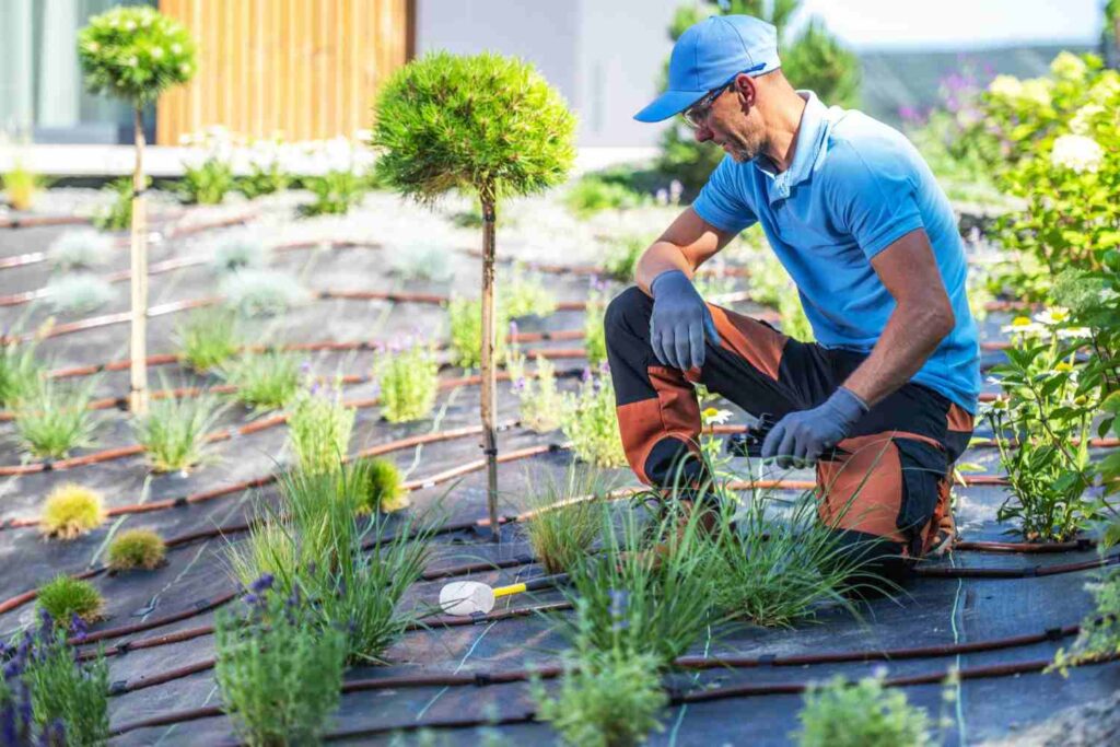 Landscaping Contractors