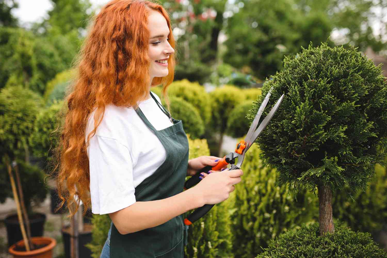 Landscaping Digital Marketing Agency