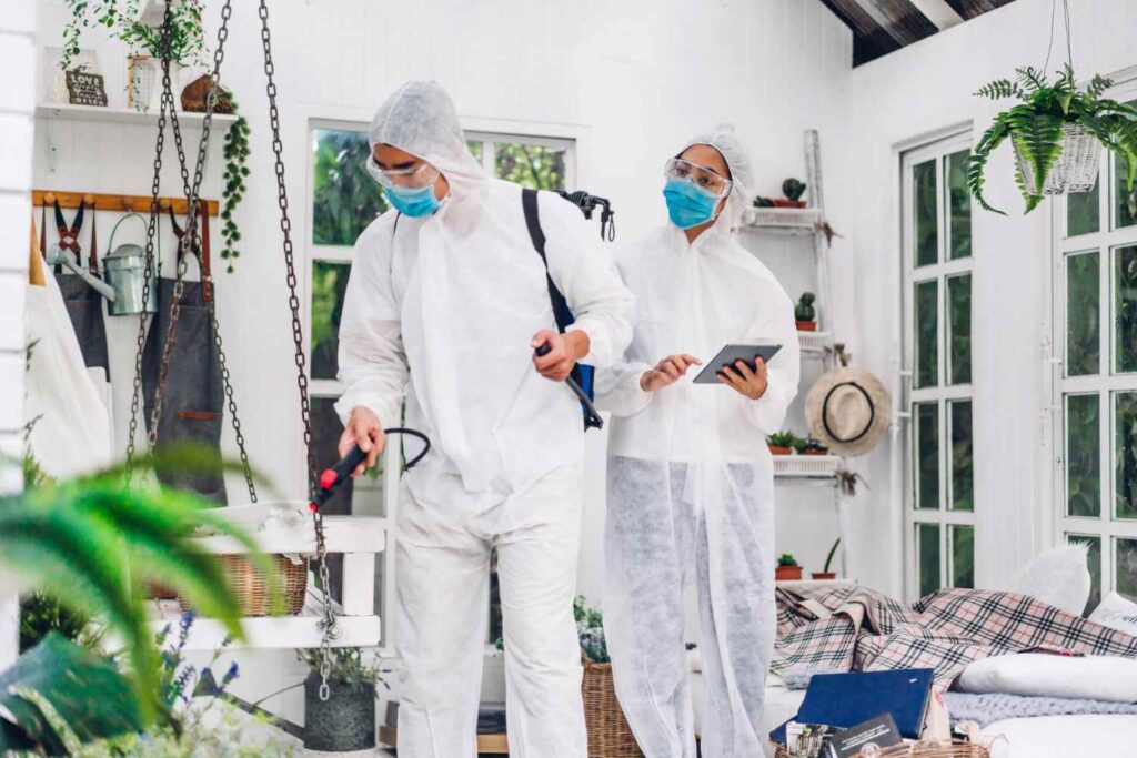 Pest Control Companies