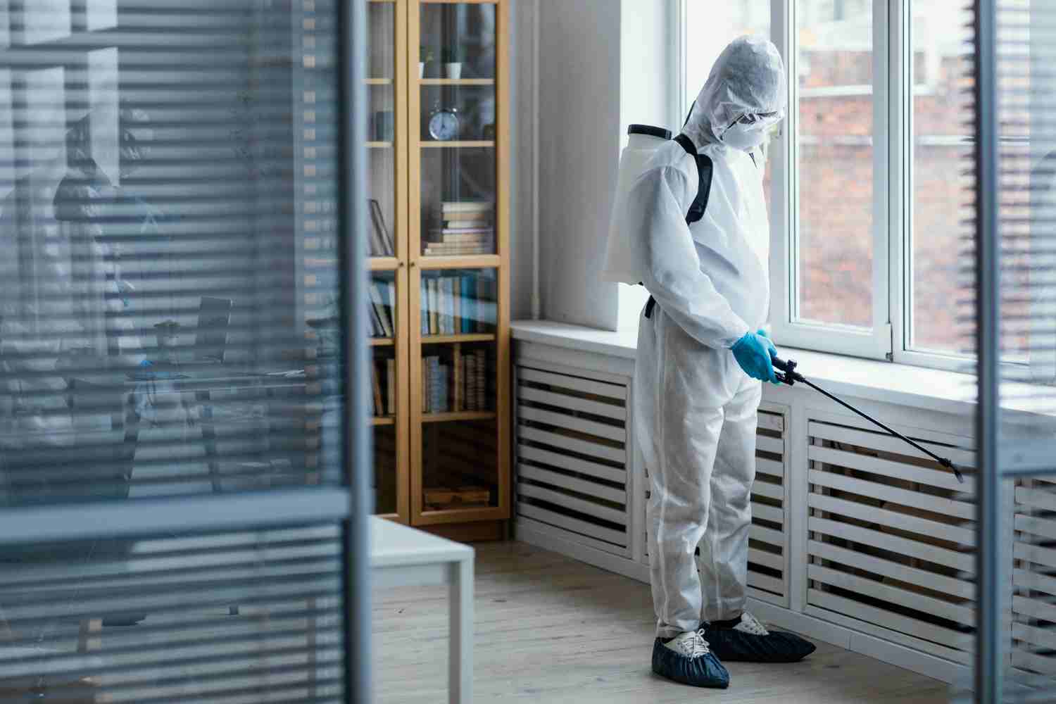Pest Control Company SEO