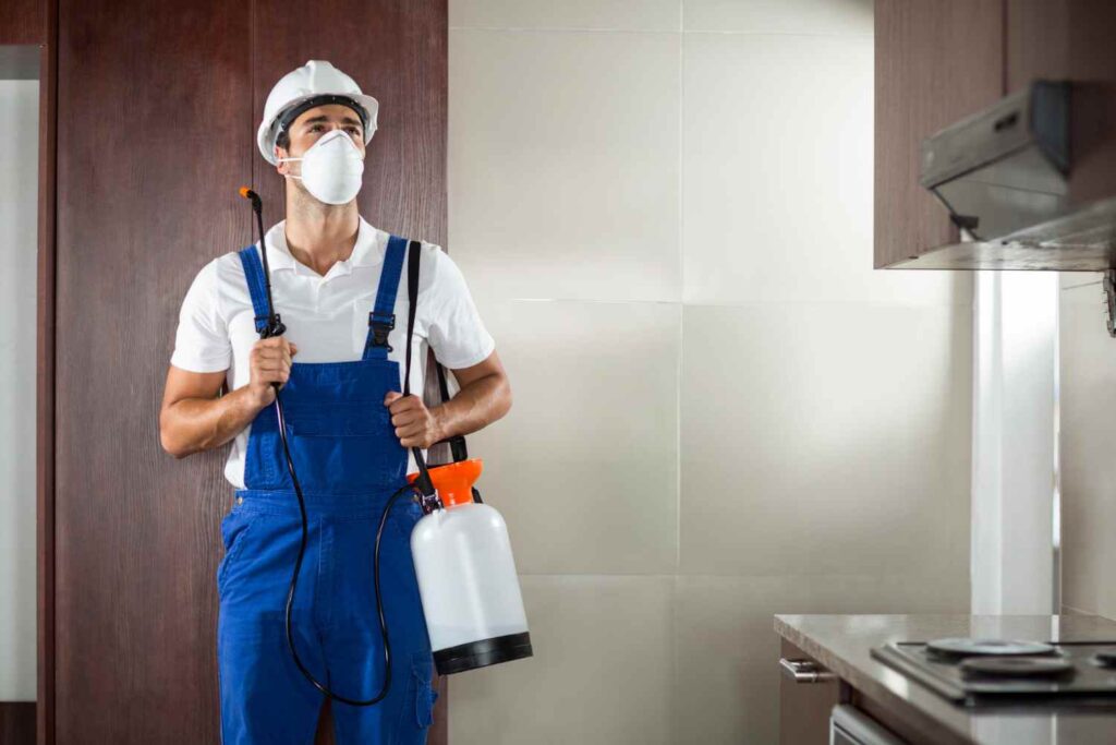 Pest Control Contractors