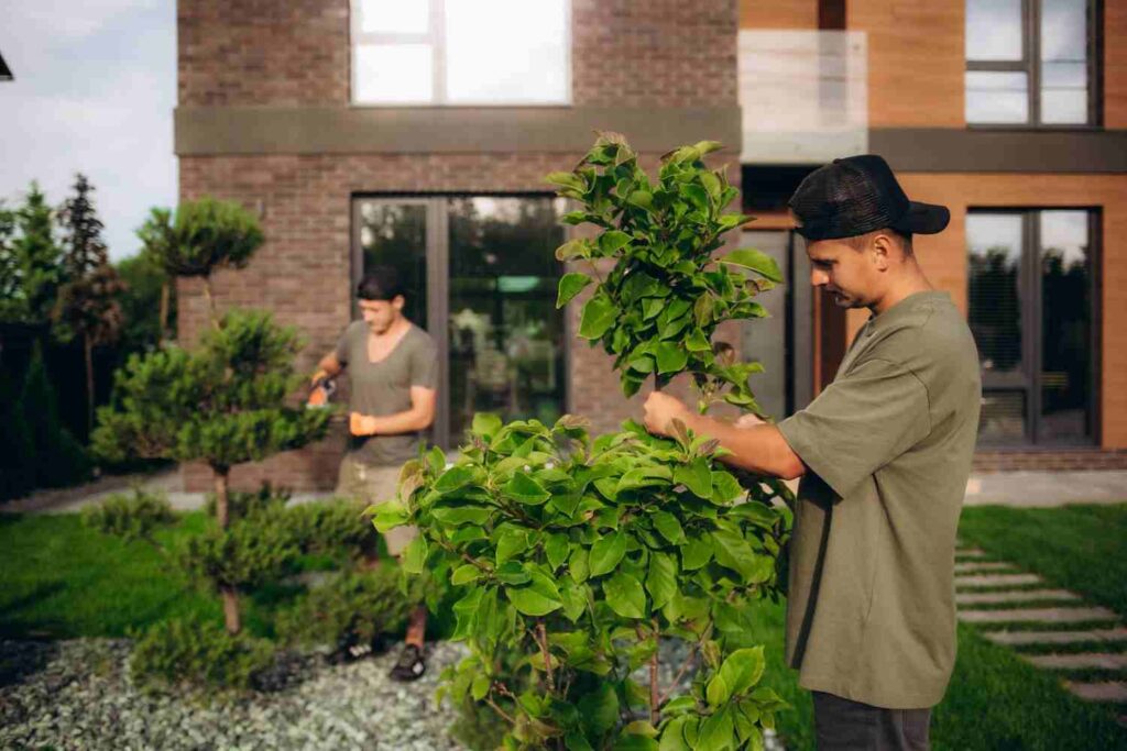 Residential Landscapers
