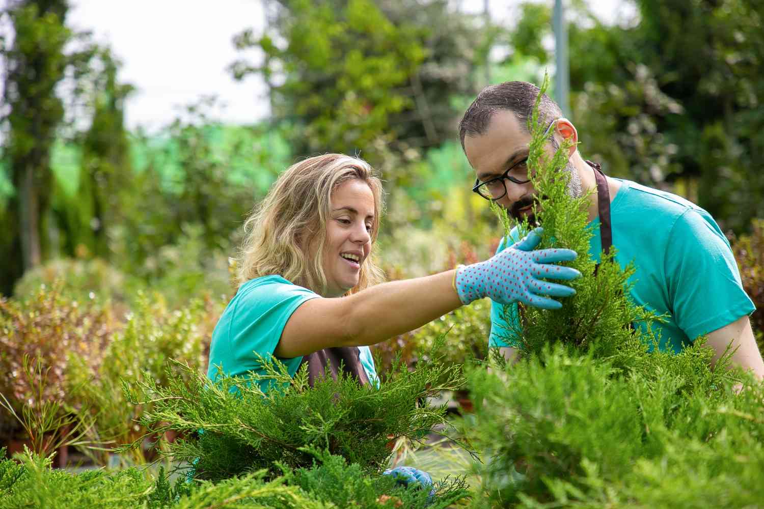 SEO for Landscape Contractors