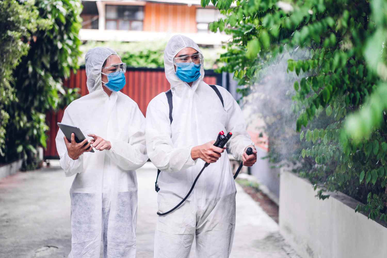 seo for pest control company