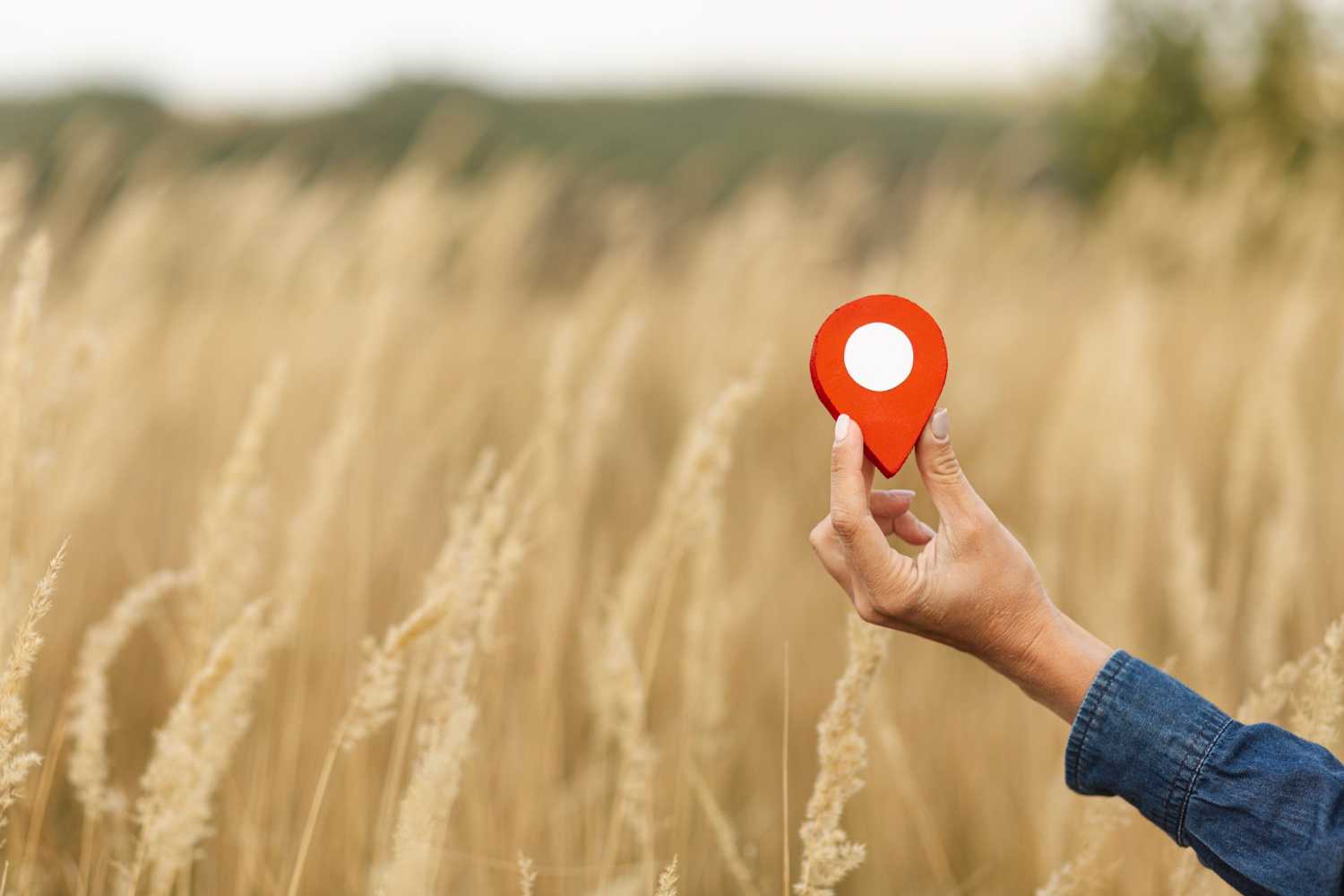 local seo surrey